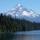 Follow Us on Portland Pet Sitters